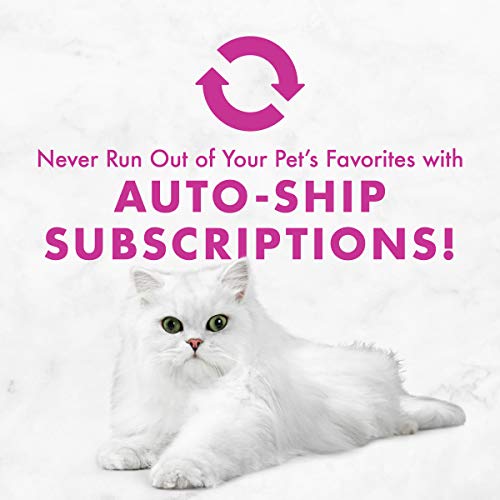 Version 1.0.0